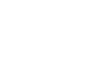 TS